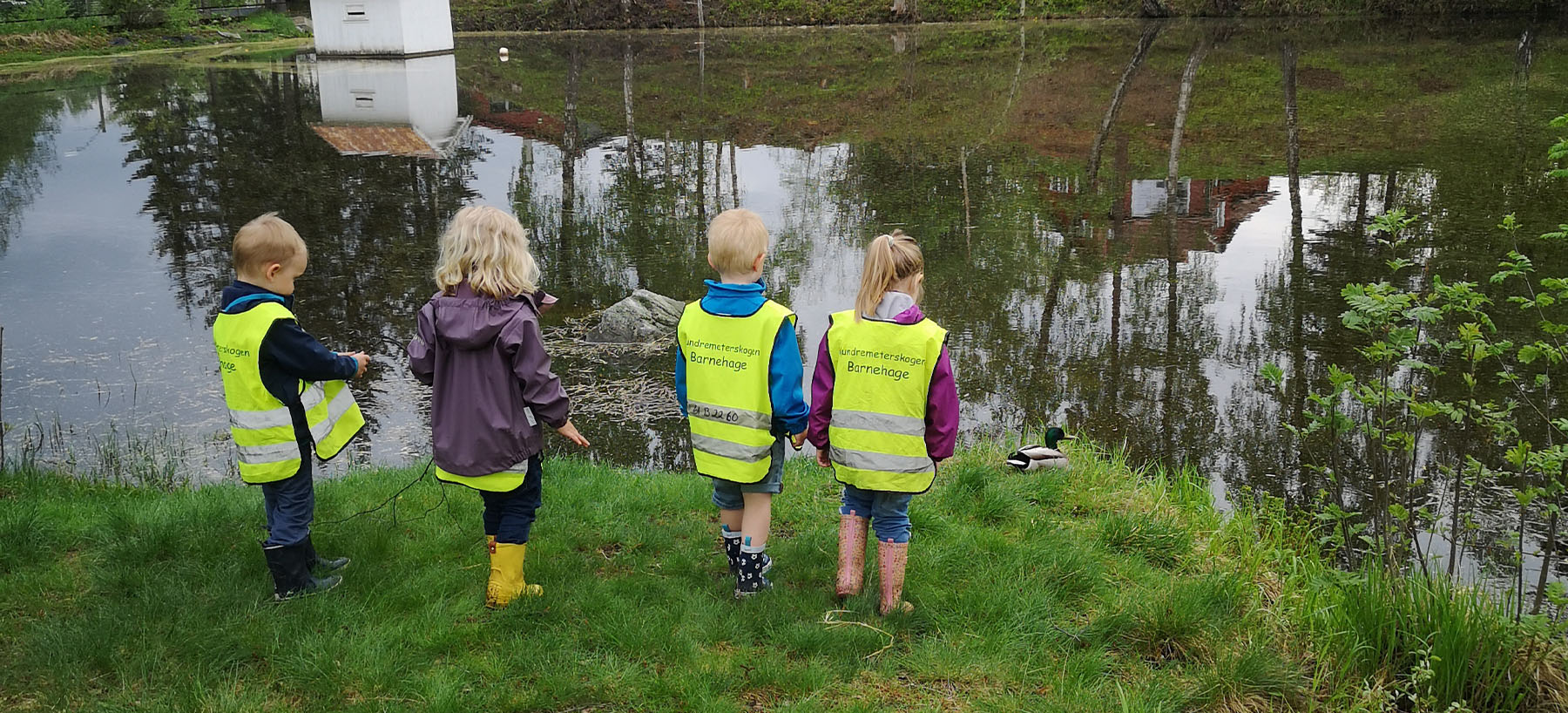 slider-bassengparken